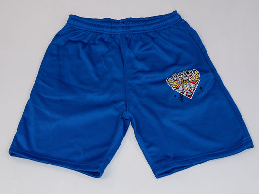 Cool Blue Shorts